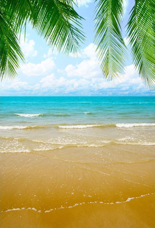 Summer Blue Sky Ocean Hawaiian Beach Palm Tree Backdrop Tropical