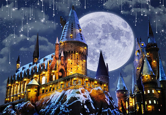 Harry Potter Halloween Backdrop for Photography SBH0245 – Starbackdrop