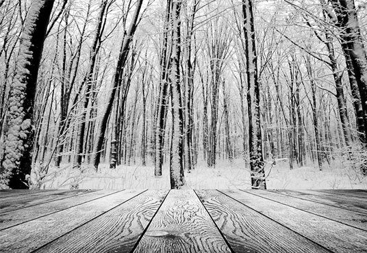 Snow Photography Floor Backdrop. Winter backdrop for photography