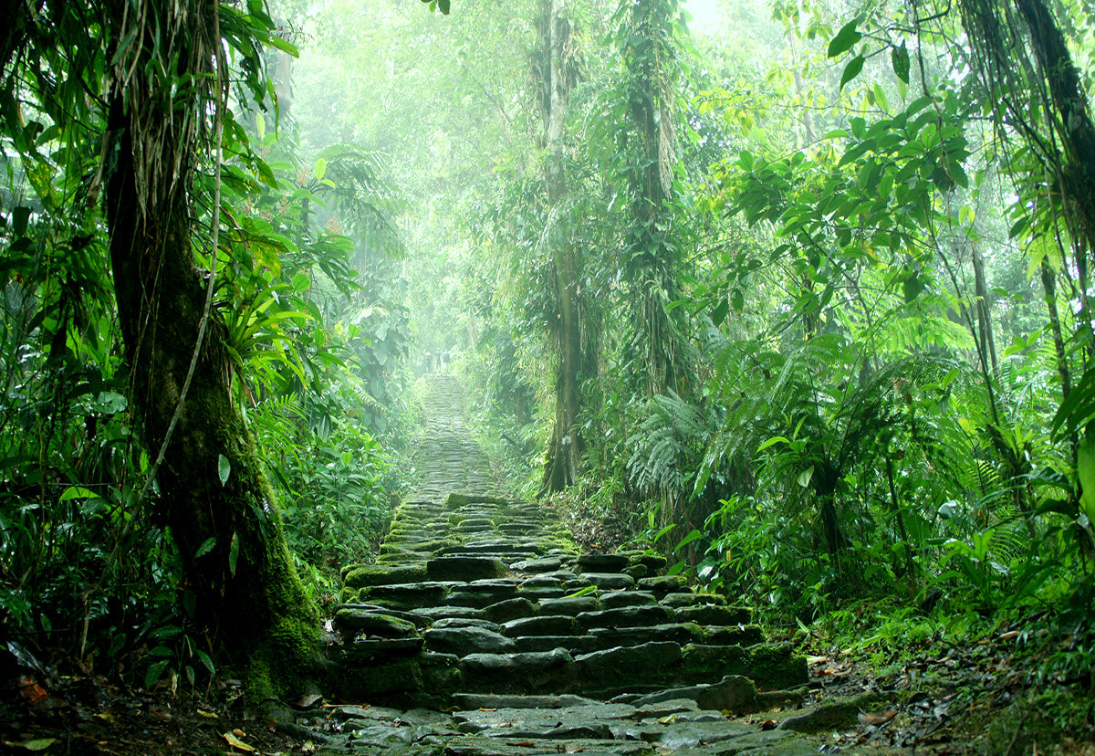 Stairway to Heaven Photography Backdrop