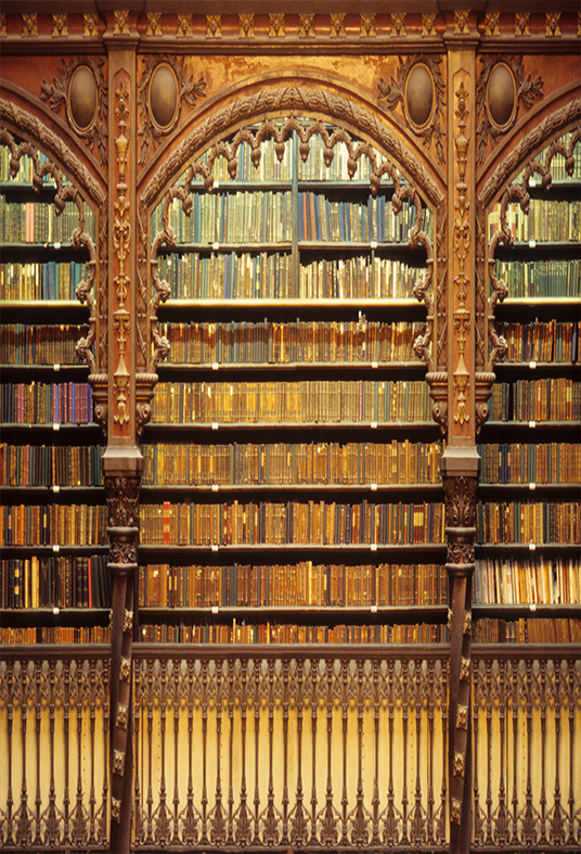 Old Books In Library Shelf by Luoman