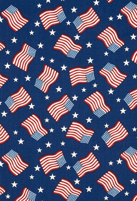 America Flags Patriotic Backdrop For Photo SBH0472 – Starbackdrop