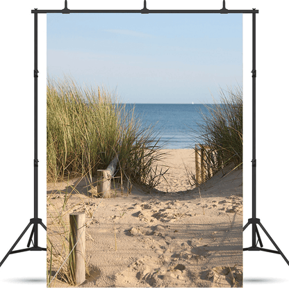 Beach Sand Dunes Access Path Photo Background SBH0485