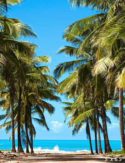 Beautiful Beach of Maracaibo Backdrop for Photo SBH0486