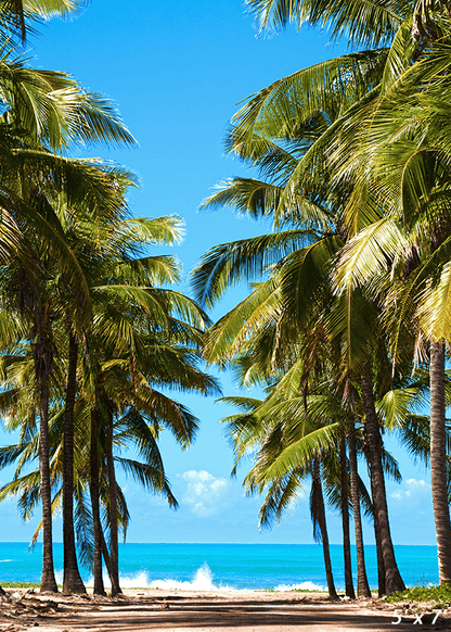 Beautiful Beach of Maracaibo Backdrop for Photo SBH0486