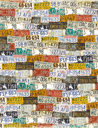 Vintage License Plates Background backdrop for Photo SBH0577