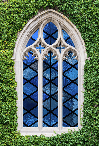 Stained Glass Windows Ivy Wall Church Backdrop SBH0609