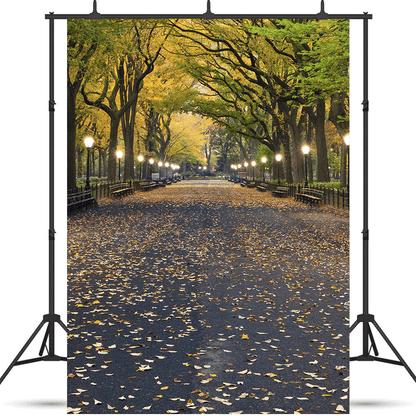 Autumn Central Park Literary Walk Photography Backdrop SBH0621