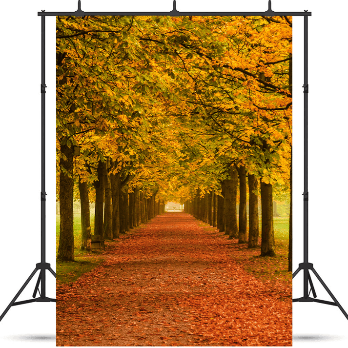 Autumn Leaves Falling Themes Backdrop for Photo SBH0622 – Starbackdrop