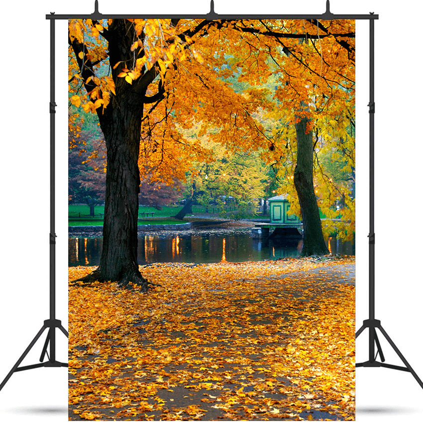 Height adjustable-Backdrop Stand Backdrop Support Stand Kit