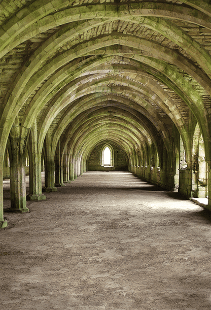 Monks Cellarium at Fountains Abbey Backdrop for Photo SBH0639