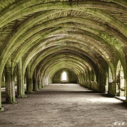 Monks Cellarium at Fountains Abbey Backdrop for Photo SBH0639