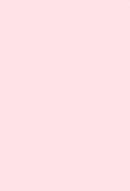 Light Pink Solid Photo Studio Backdrops – Starbackdrop