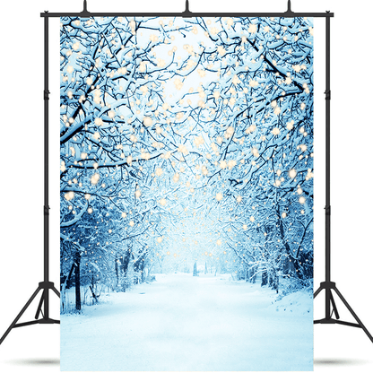 Winter Snowy Lane With Lights Photography Backdrop SBH0299