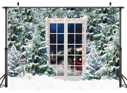 Pine trees and Door With Sparkles Christmas Backdrops for Photo Studio SBH0270