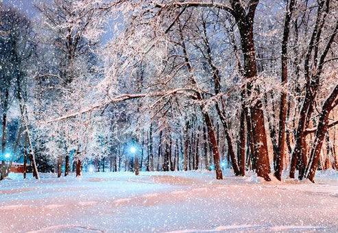 Buy Winter Background Night Snowing Park Photography Backdrop Online 