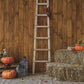 Wooden Thanksgiving Straw Pumpkin Autumn Backdrops