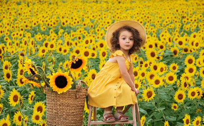 Summer Sunflower Photography Backdrop for Picture