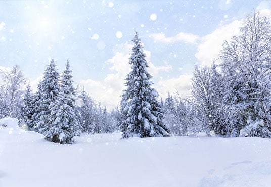 Buy Snow Forest White Winter Wonderland Photography Backdrop Online ...