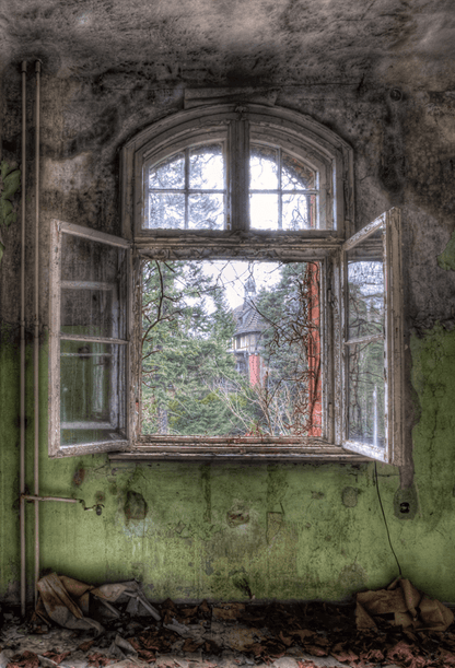 Abandoned Old Room With Windows Backdrop for Photography SBH0233