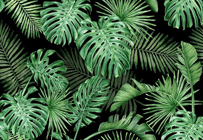 Green Tropical Leaves Backdrop Spring Photography Background