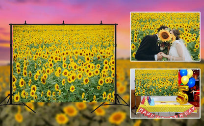 Summer Sunflower Photography Backdrop for Picture