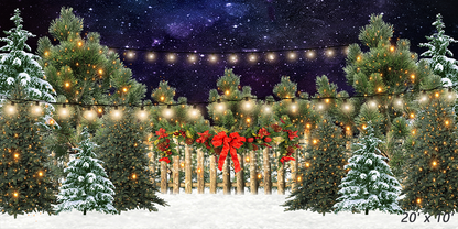 Christmas Lights and Snow Backdrop in Photo Studio SBH0280