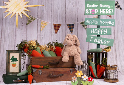 Happy Easter Cartoon Decoration Photography Backdrops for Mini Session