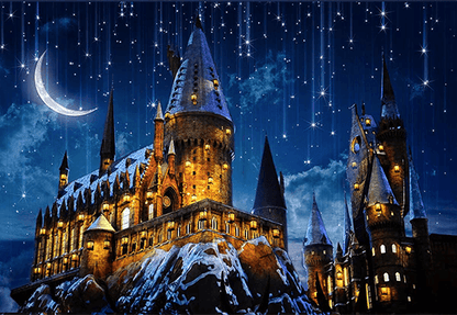 Halloween Harry Potter Castle Wizard Backdrop for Photography SBH0243