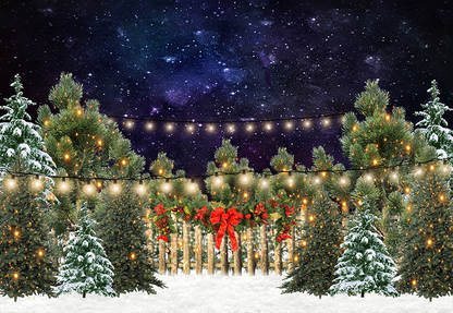 Christmas Lights and Snow Backdrop in Photo Studio SBH0280