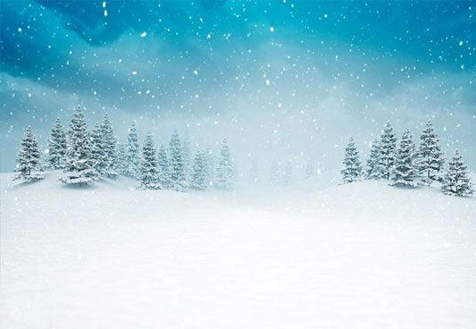 Winter Snow Cover Photography Backdrop Background