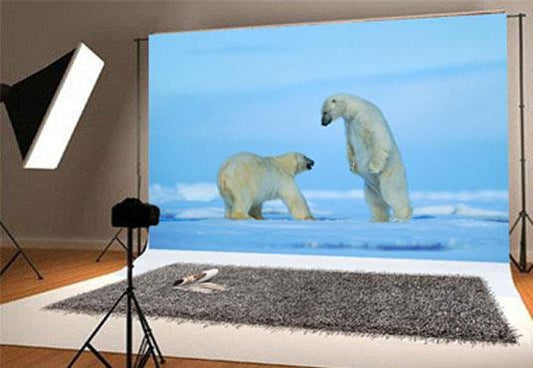 Polar Bear Winter Photography Backdrops