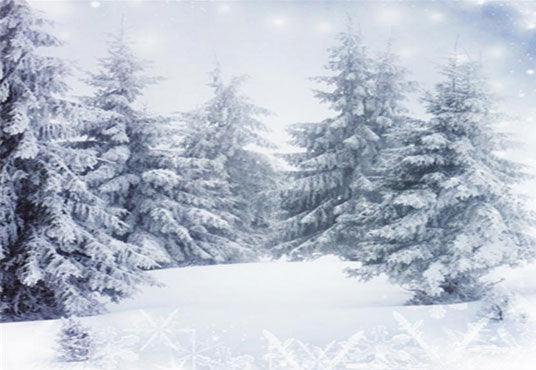 Buy Snow Forest Winter Backdrop for Photo Online – Starbackdrop