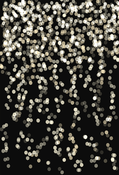 Bokeh Silver Abstract Bokeh Background Backdrop for Photography SBH0219