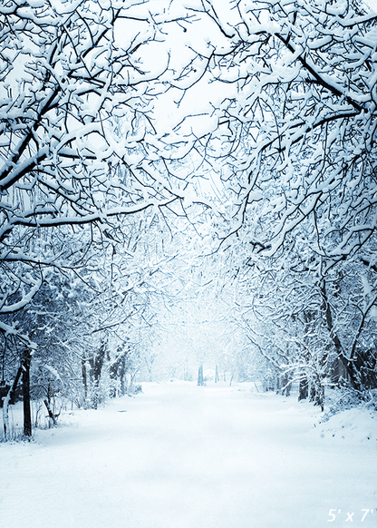 Winter Snowy Lane With Branches Photography Backdrop SBH0298