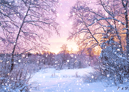 Winter Sunrise In Snowy Forest Photography Backdrop SBH0300