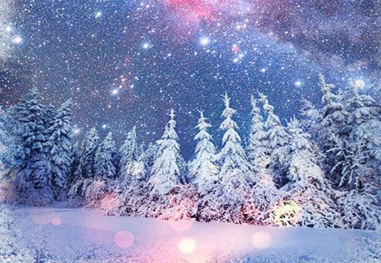 Buy Snowflake Winter Photo Backdrop Online – Starbackdrop