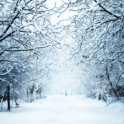 Winter Snowy Lane With Branches Photography Backdrop SBH0298