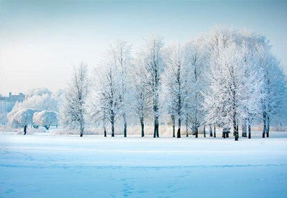 White Snow Tree Photography Backdrop for Christmas