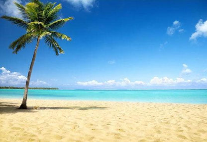 Golden Sandy Beach With Blue Sea For Summer Holiday Photography Backdrop