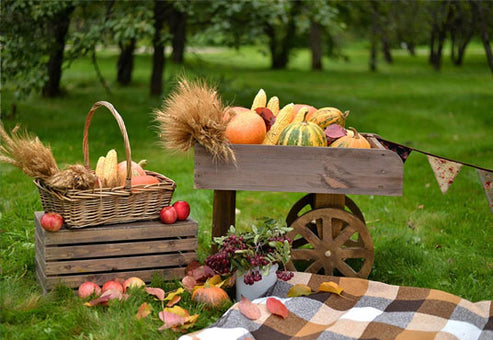 Buy Autumn Pumpkin Photography Backdrop Prop for Picture Online ...