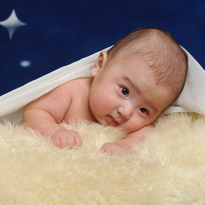 Winter Night Of Snow Glitter Star Backdrop for Photography