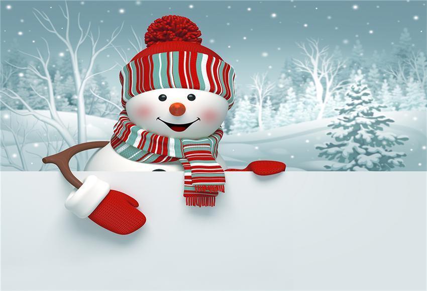 Buy Christmas Snowman Winter Backdrop Online – Starbackdrop