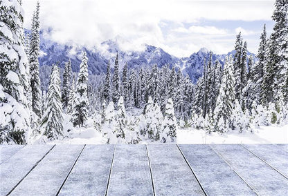 Winter Snow Photography Prop Backdrop for Studio