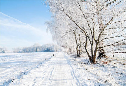 Winter White Snow Wonderland Backdrops