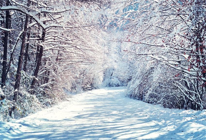 Buy Winter Snow Branches Photography Backdrops for Christmas Online ...