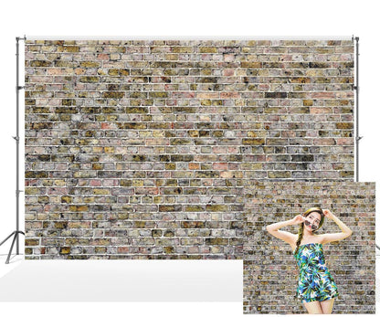 Graffiti Brick Wall Grey Backdrop for Photographers