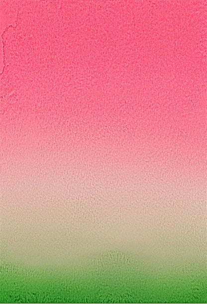 Watermelon Color Abstract Photo Backdrop for Studio