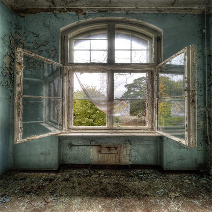 Vintage Architecture Wood Windows Backdrop for Studio