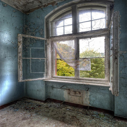 Old and Dirty House Backdrop Window Photography Background Architecture